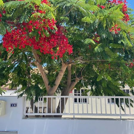 Casa Enamorado Tarajalejo Εξωτερικό φωτογραφία