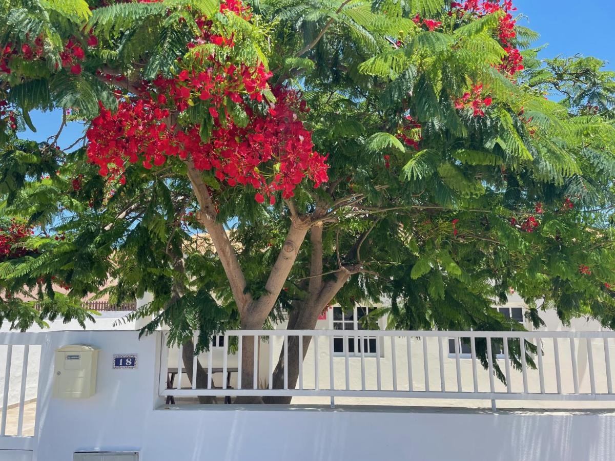 Casa Enamorado Tarajalejo Εξωτερικό φωτογραφία
