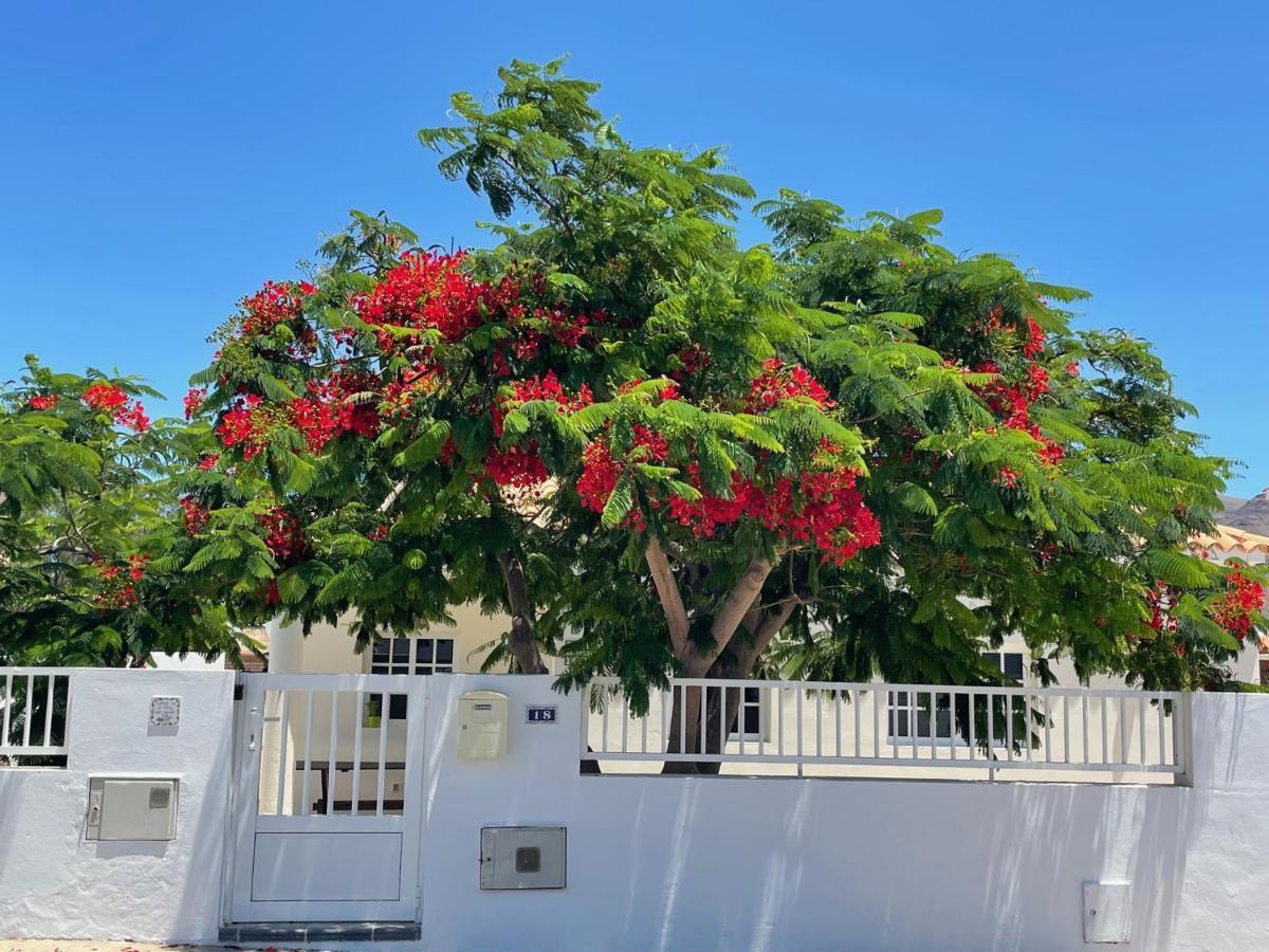 Casa Enamorado Tarajalejo Εξωτερικό φωτογραφία